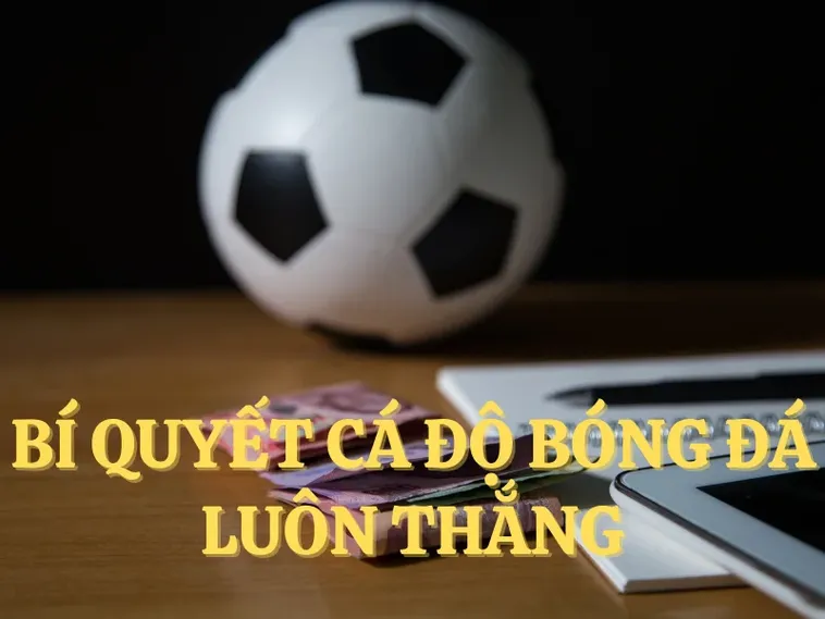 Tìm Hiểu Cá Cược Bóng Đá 789Win: Bí Quyết Thành Công Cho Người Chơi